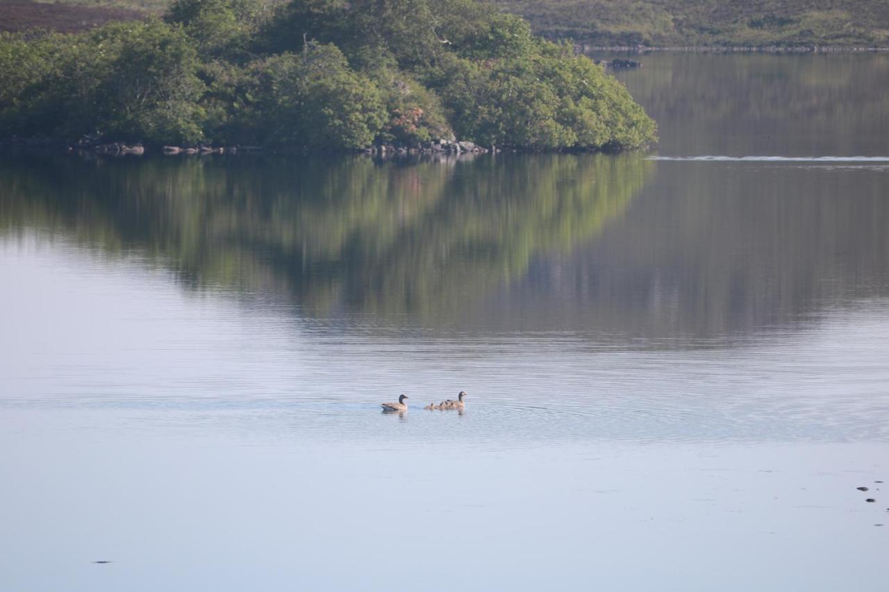 Grey Goose Cottage Lochs Dış mekan fotoğraf